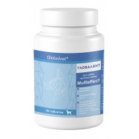 Витаминный комплекс GlobalVet Глобалвит Multieffect  для собак крупных пород 70 таб.