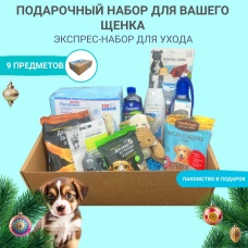 Подарочный экспресс-набор для щенка