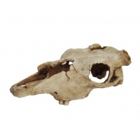 LUCKY REPTILE Декорация для террариума, череп "Skull Cow"