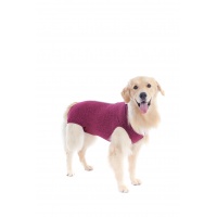 PetMed Стандартная послеоперационная попона для собак RPC REGULAR DRY COMFORT красная
