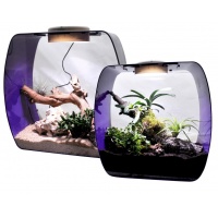 LUCKY REPTILE Террариум "Life Box"