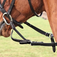 SHIRES Мягкий повод "Flexi-Rein", COB-FULL, черный