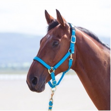 SHIRES Недоуздок "Topaz", голубой