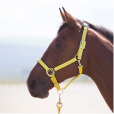 SHIRES Недоуздок "Topaz", желтый