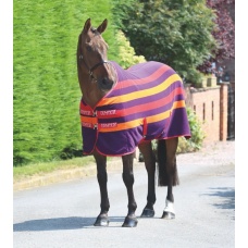 SHIRES TEMPEST Попона флисовая в полоску "Original Newmarket", фиолетовый-желтый-красный