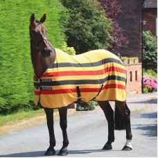 SHIRES TEMPEST Попона флисовая в полоску "Original Newmarket", желтый-черный-красный