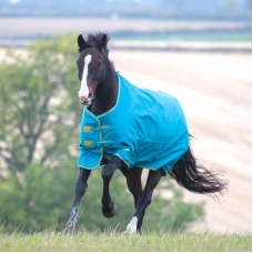 SHIRES TEMPEST Попона прогулочная для лошади "Original", 600D, 300g, 150, голубой
