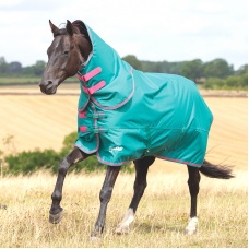 SHIRES TEMPEST Попона прогулочная для лошади с отстегным капором "Original", 600D, 100g, изумрудный