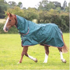 SHIRES TYPHOON Попона прогулочная для лошади с капором "Lite", 840D, 0g, зеленый